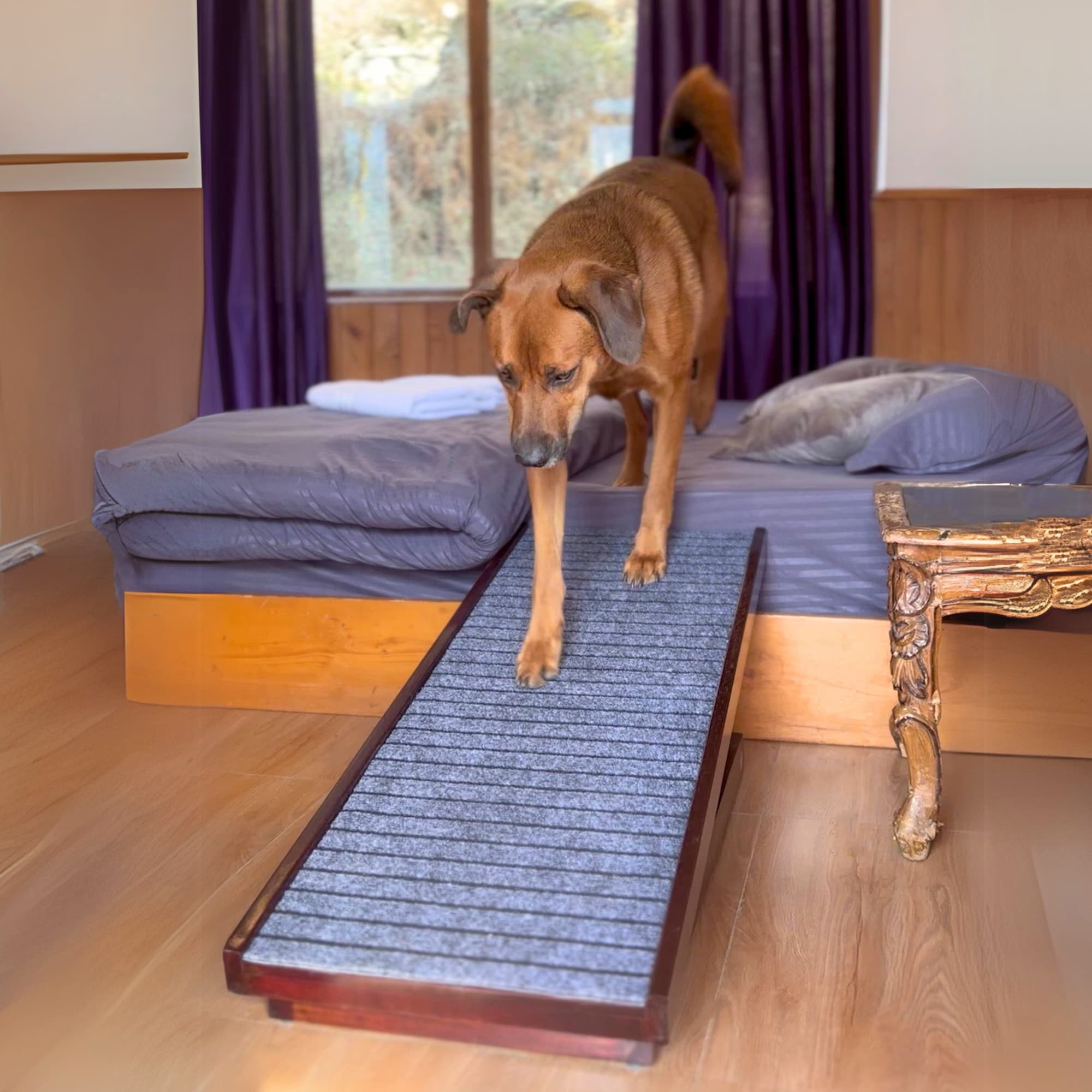 Pet Ramp (For pets up to 70 kgs)