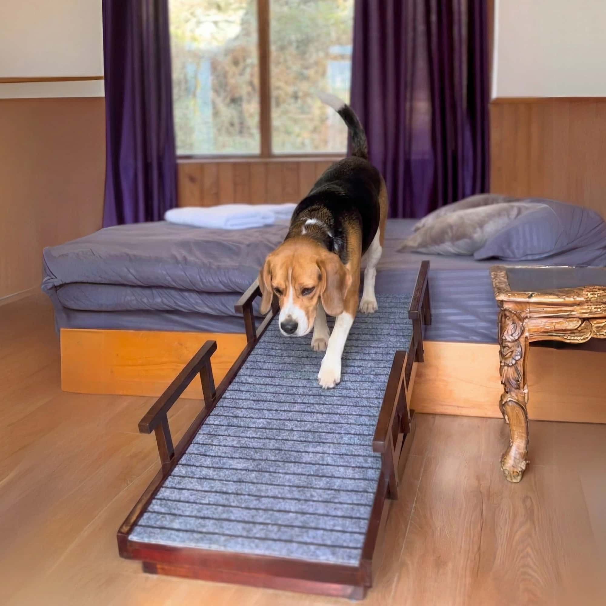 Pet Ramp with Safety Rails (For pets up to 70 kgs)