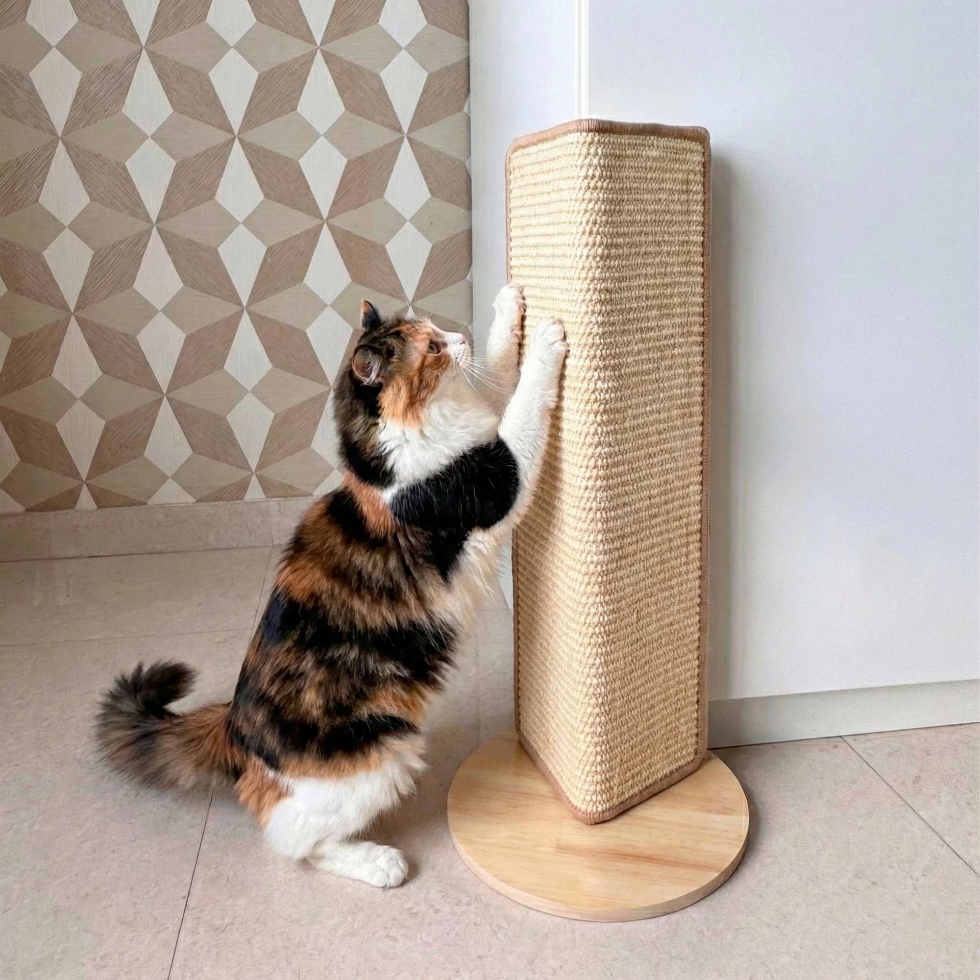 Cat Wall Scratcher Lite