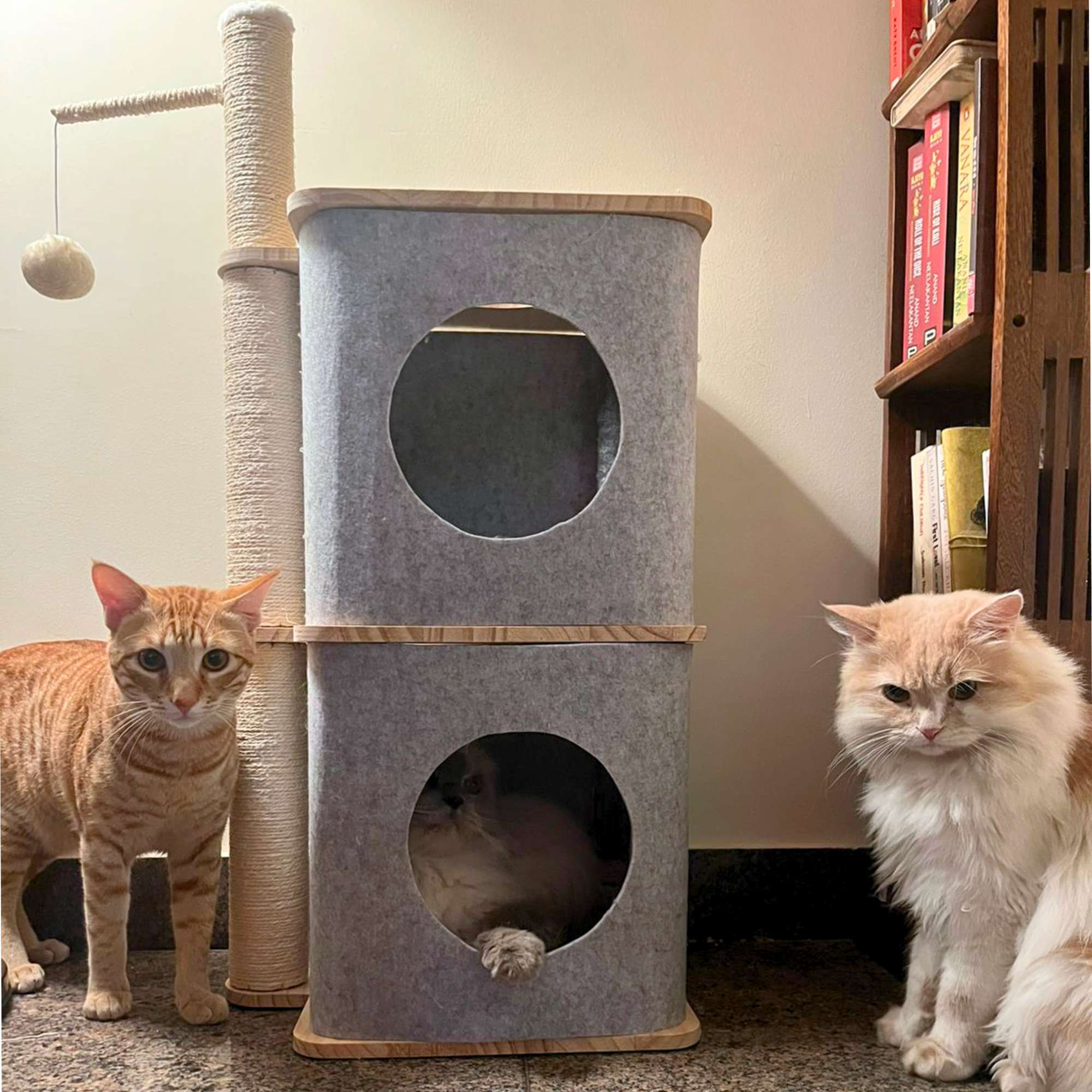 Nara Cat Tower