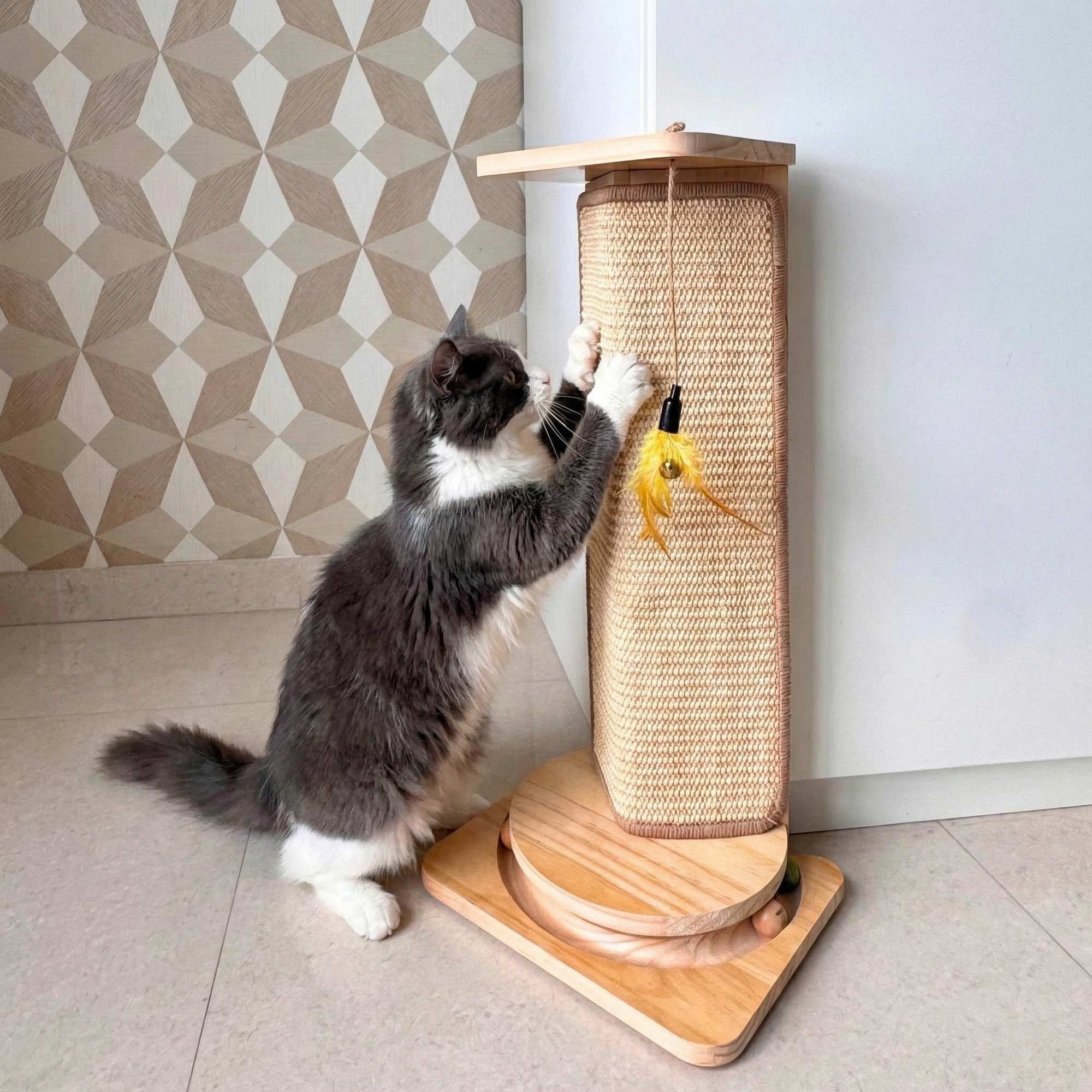 Cat Wall Scratcher Plus
