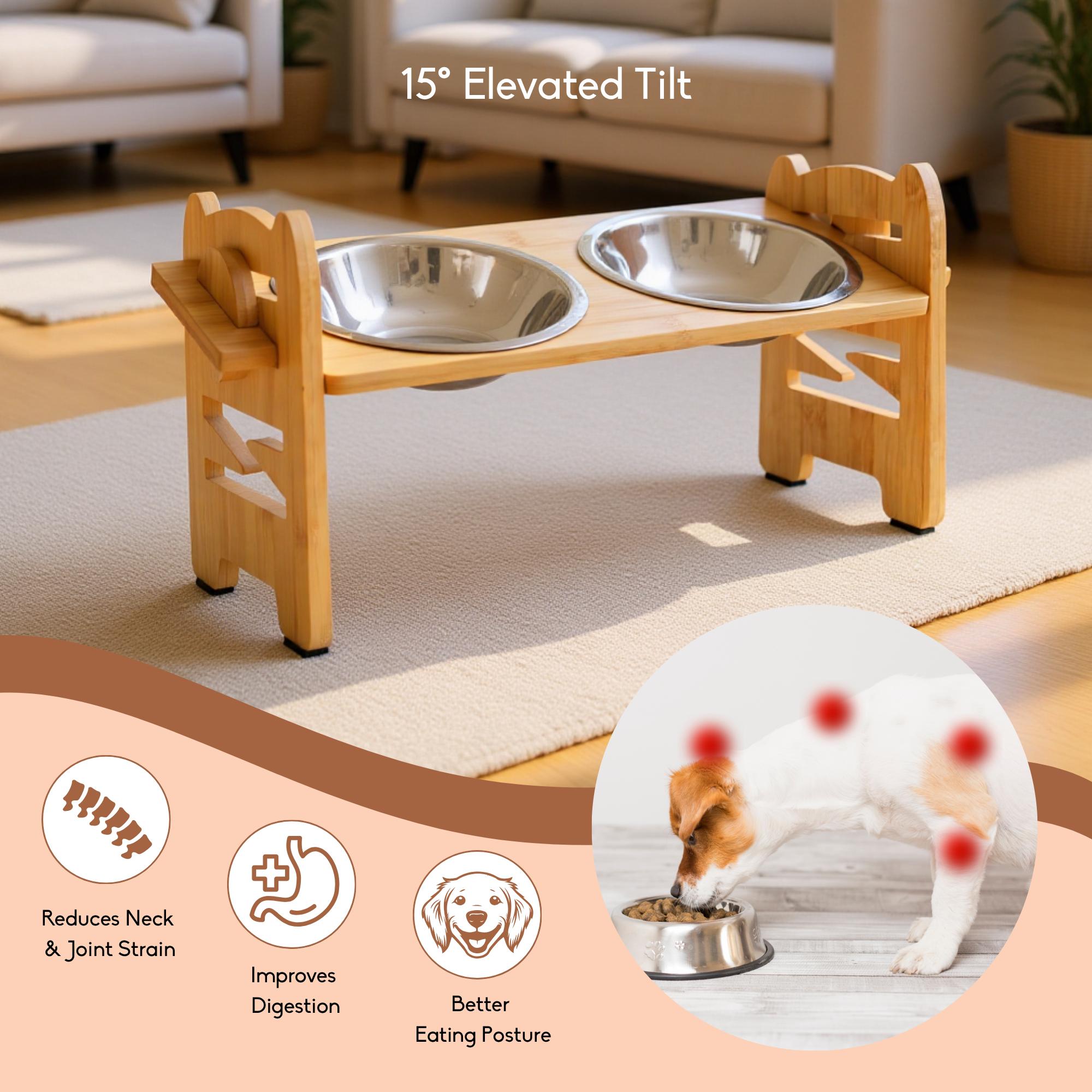 Modo Elevated Pet Feeder