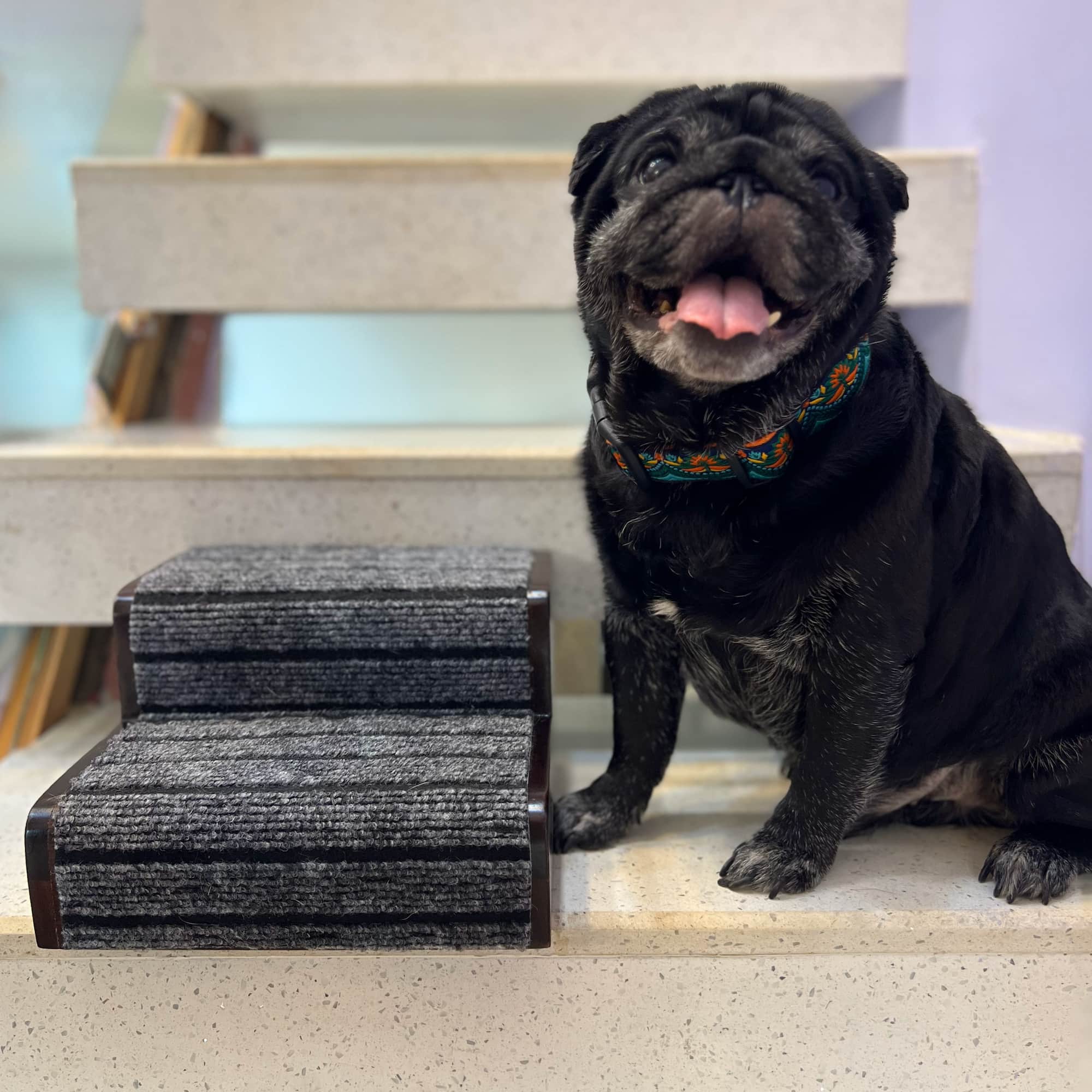 Pet Step Pro