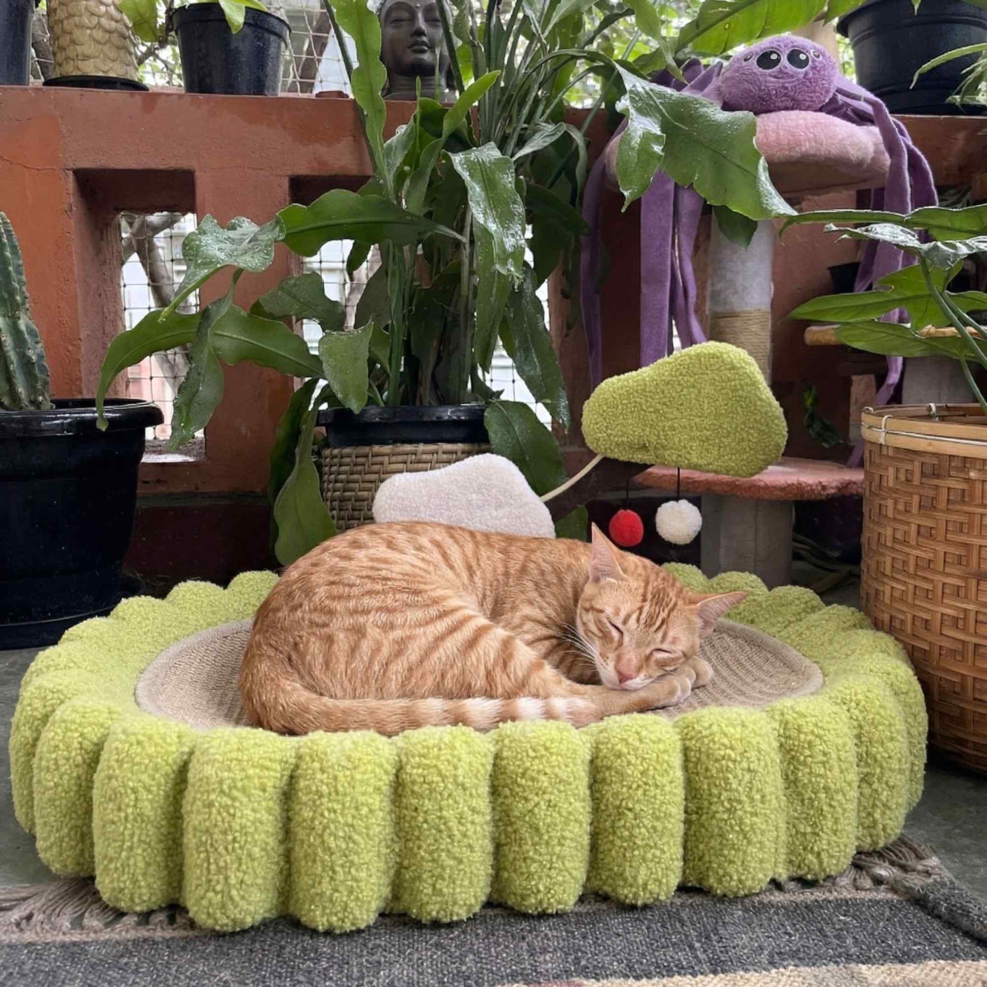 Zen Cat Bed
