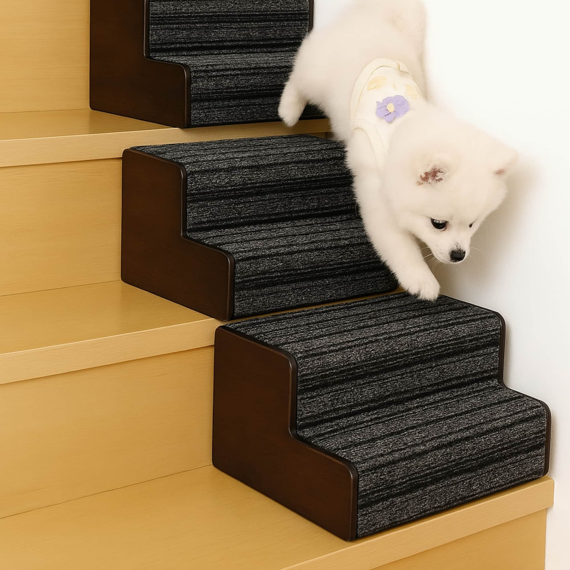 Pet Step Pro