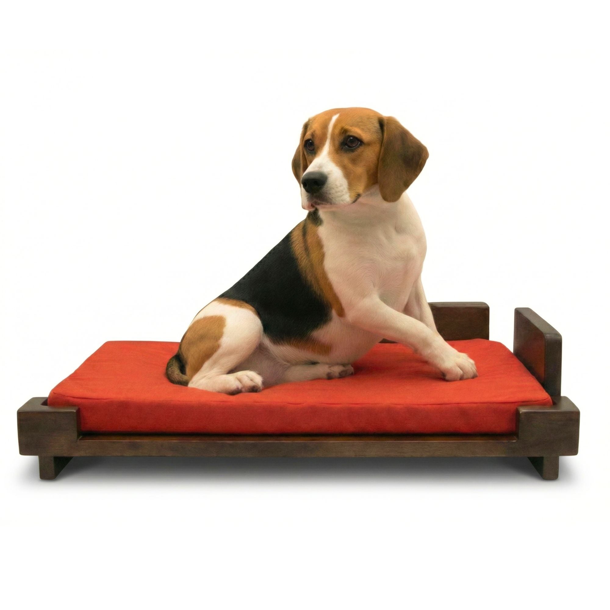 #Cushion Color_Red