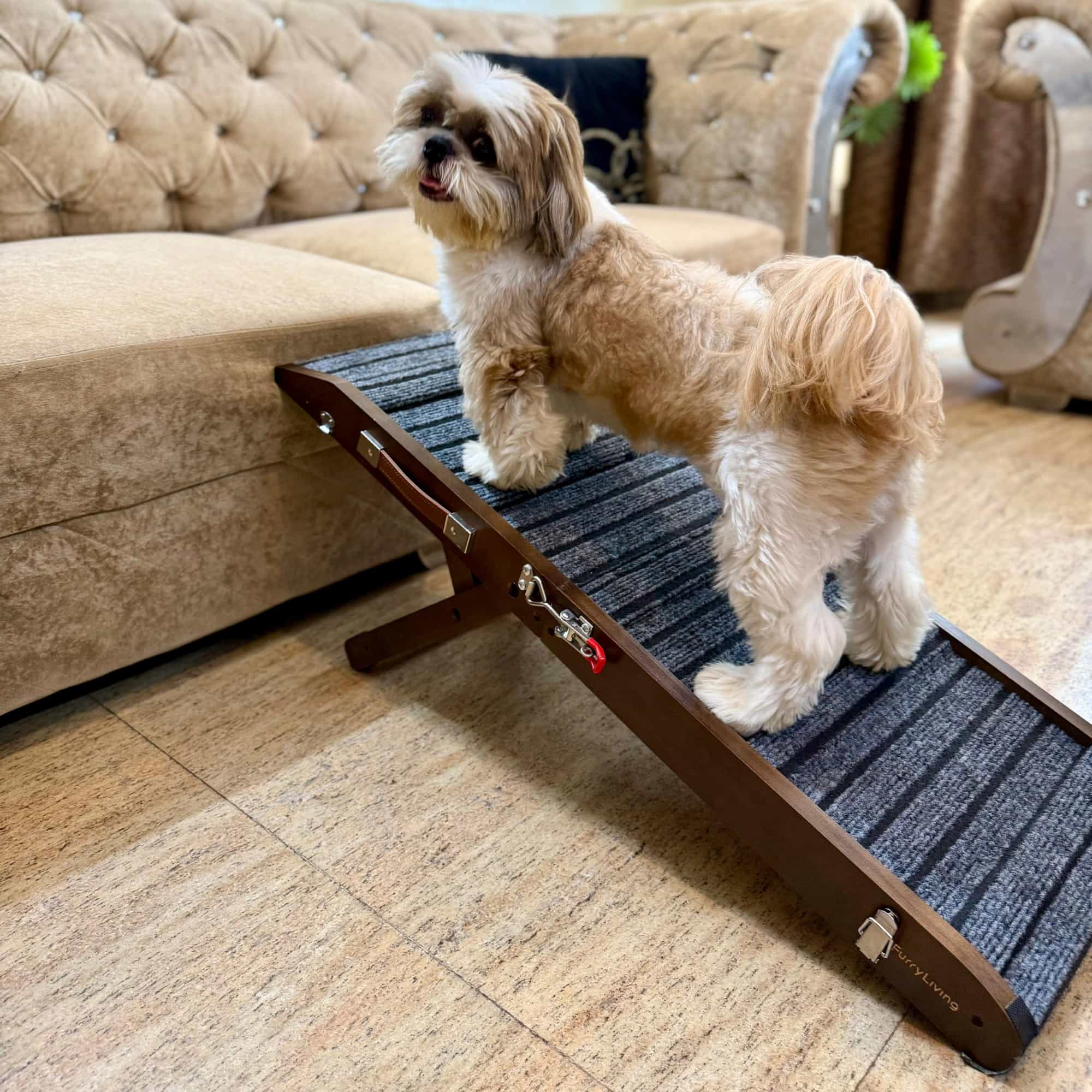 Pet Ramp Lite (For pets up to 15 kgs)