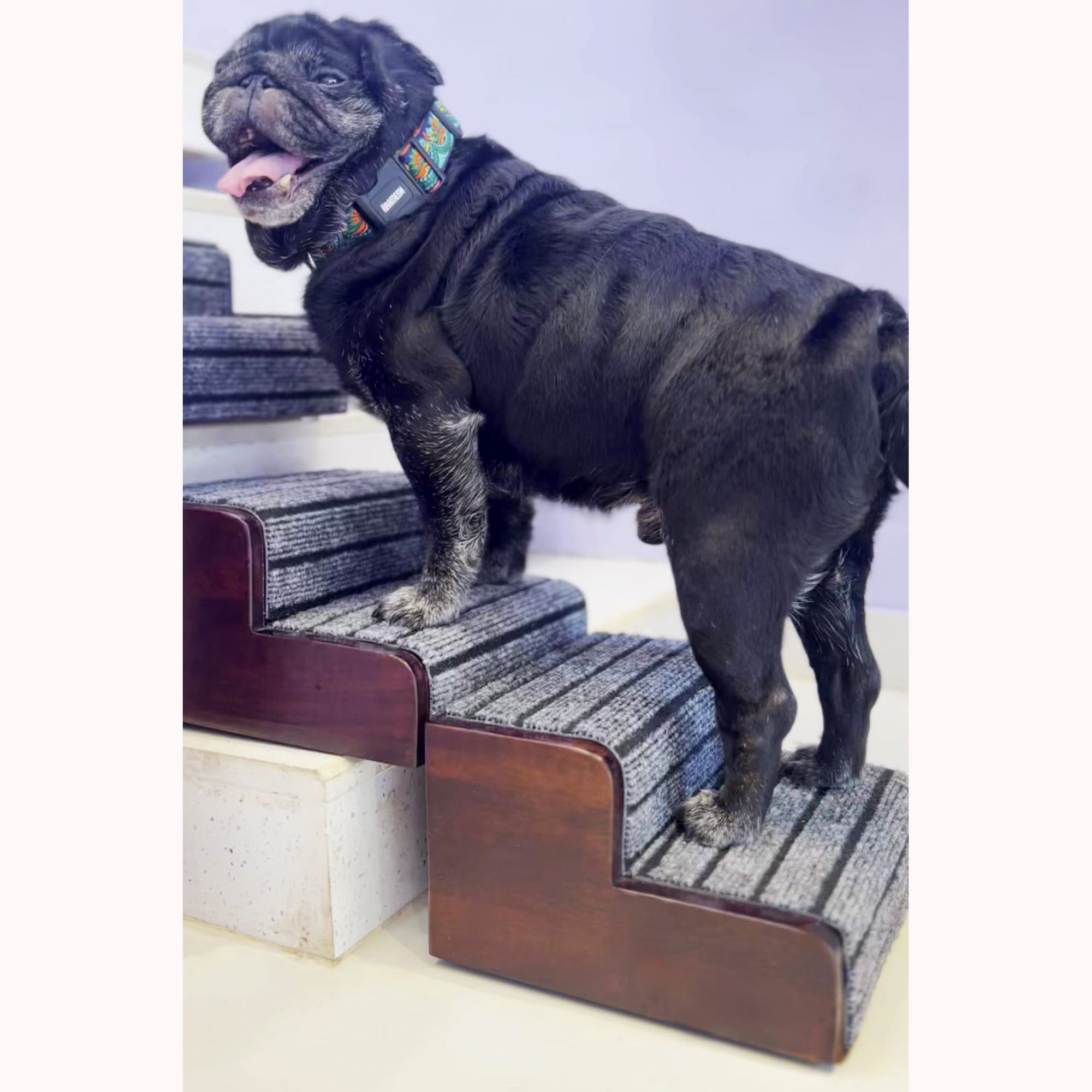 Pet Step Pro