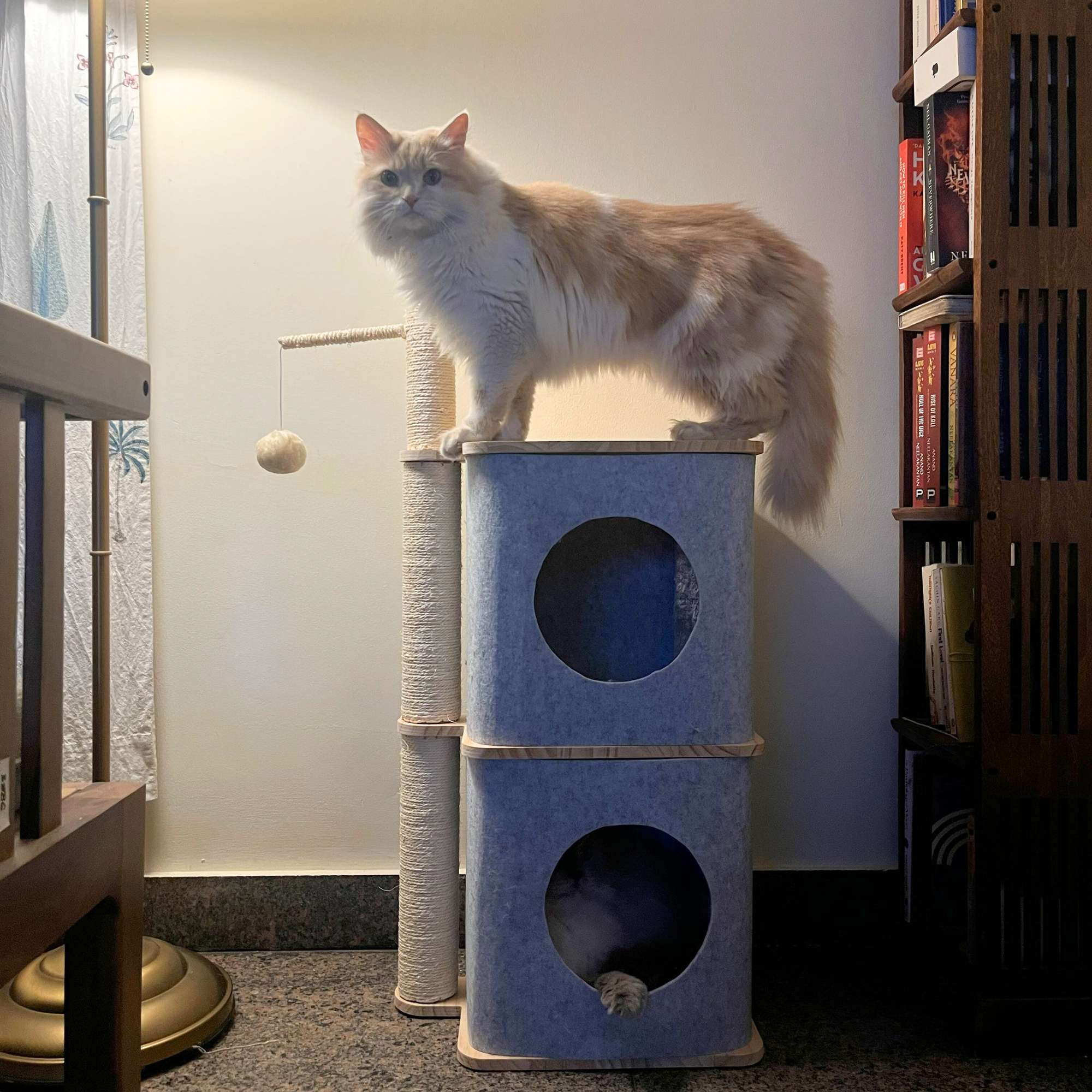 Nara Cat Tower