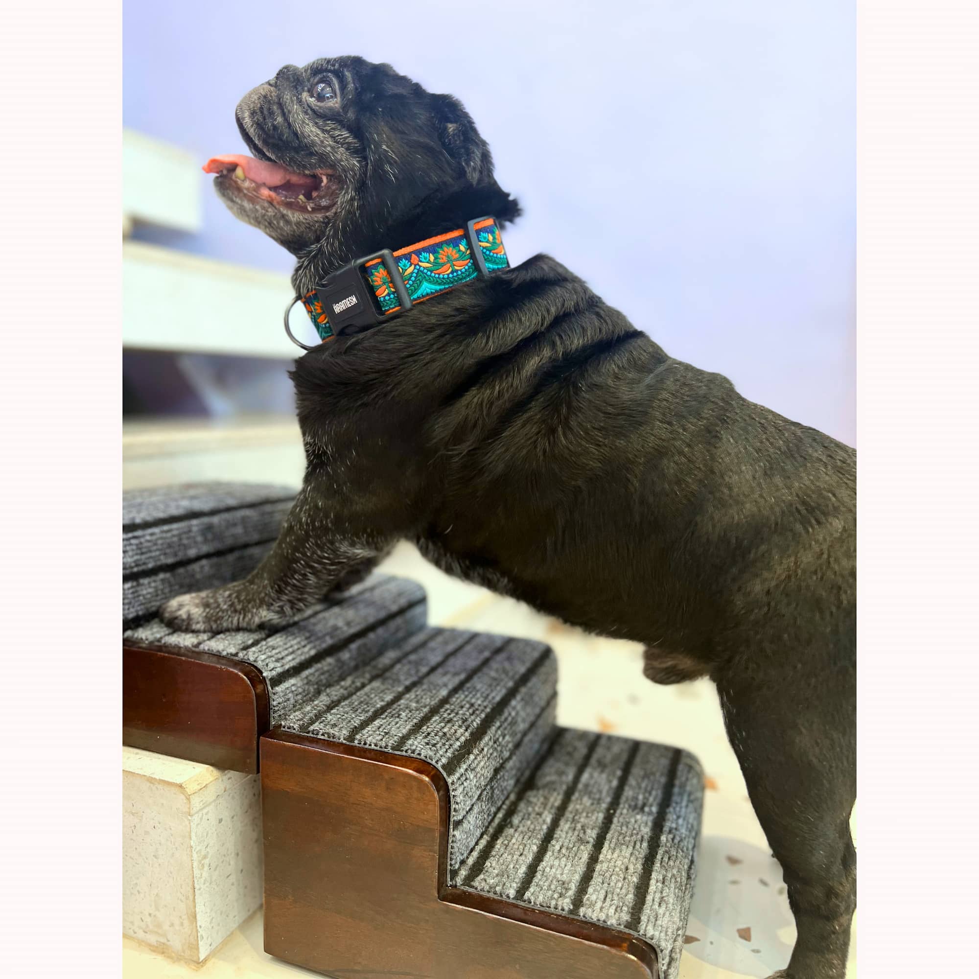 Pet Step Pro