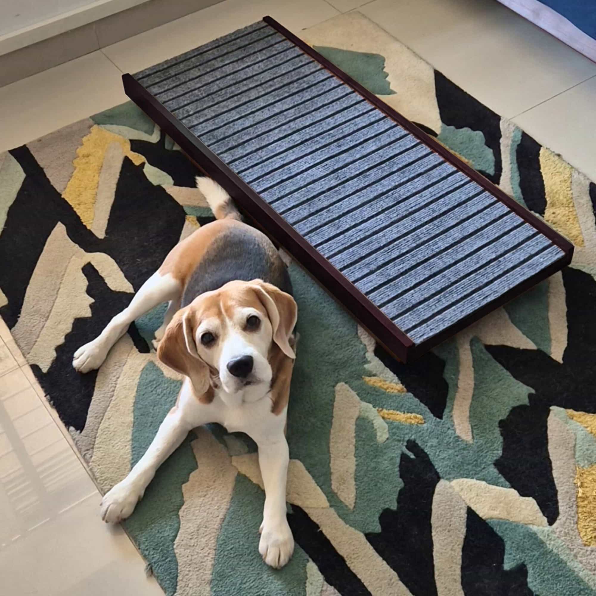 Pet Ramp (For pets up to 70 kgs)