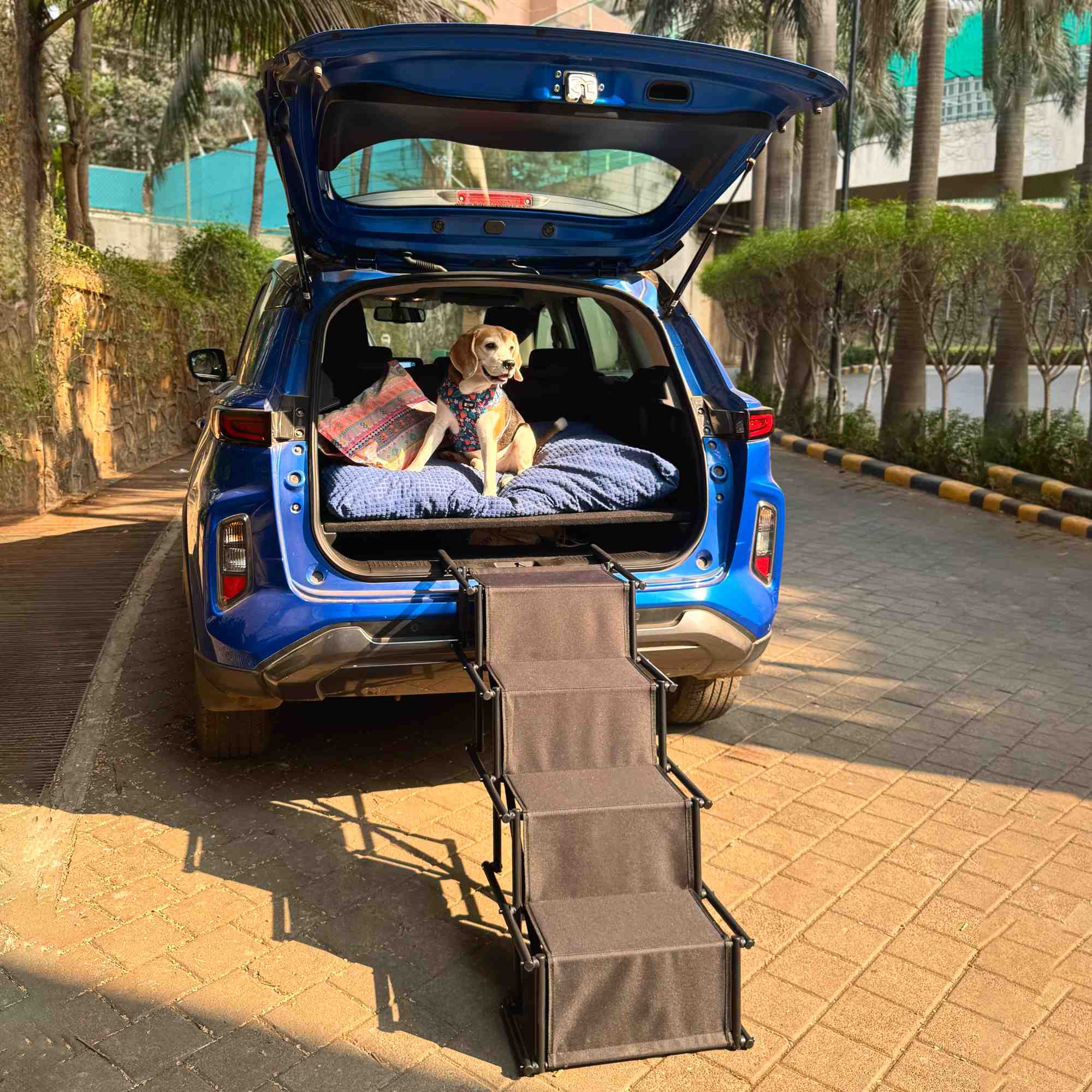 Foldable Car Pet Stairs