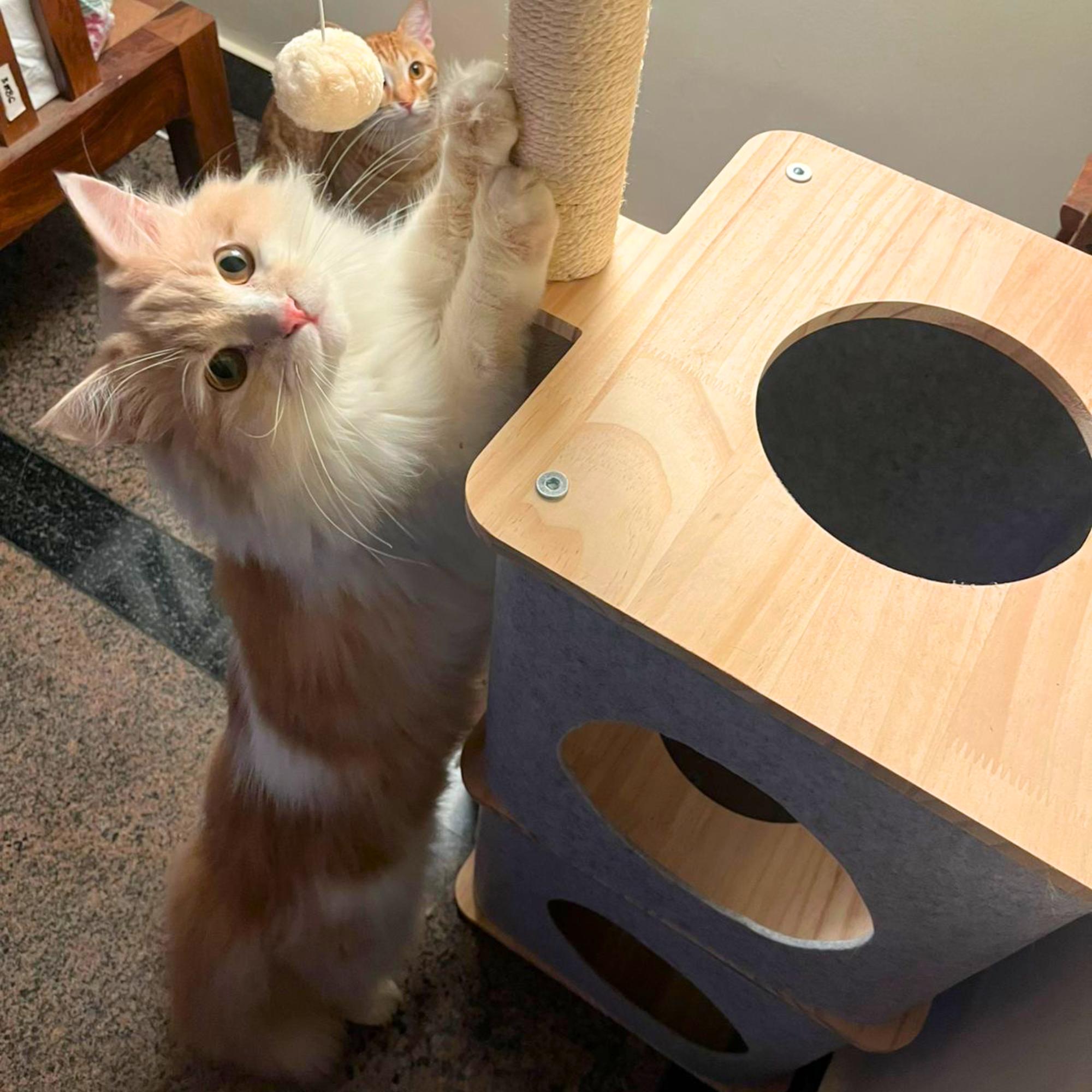 Nara Cat Tower