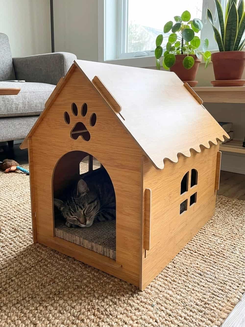 Casa Cat House